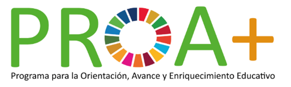 Logo PROA+